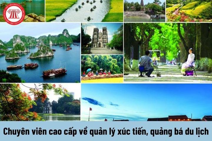 Hotspot Matrix: Chất lượng Video Nổi Bật Từ Nền Tảng Toàn Diện