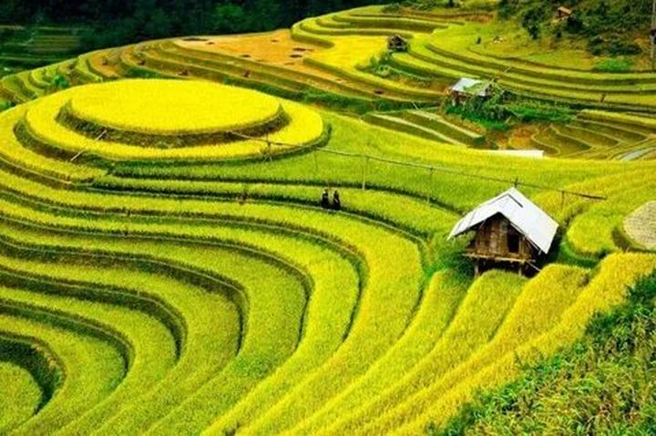 Phụ nữ tuổi này dễ có